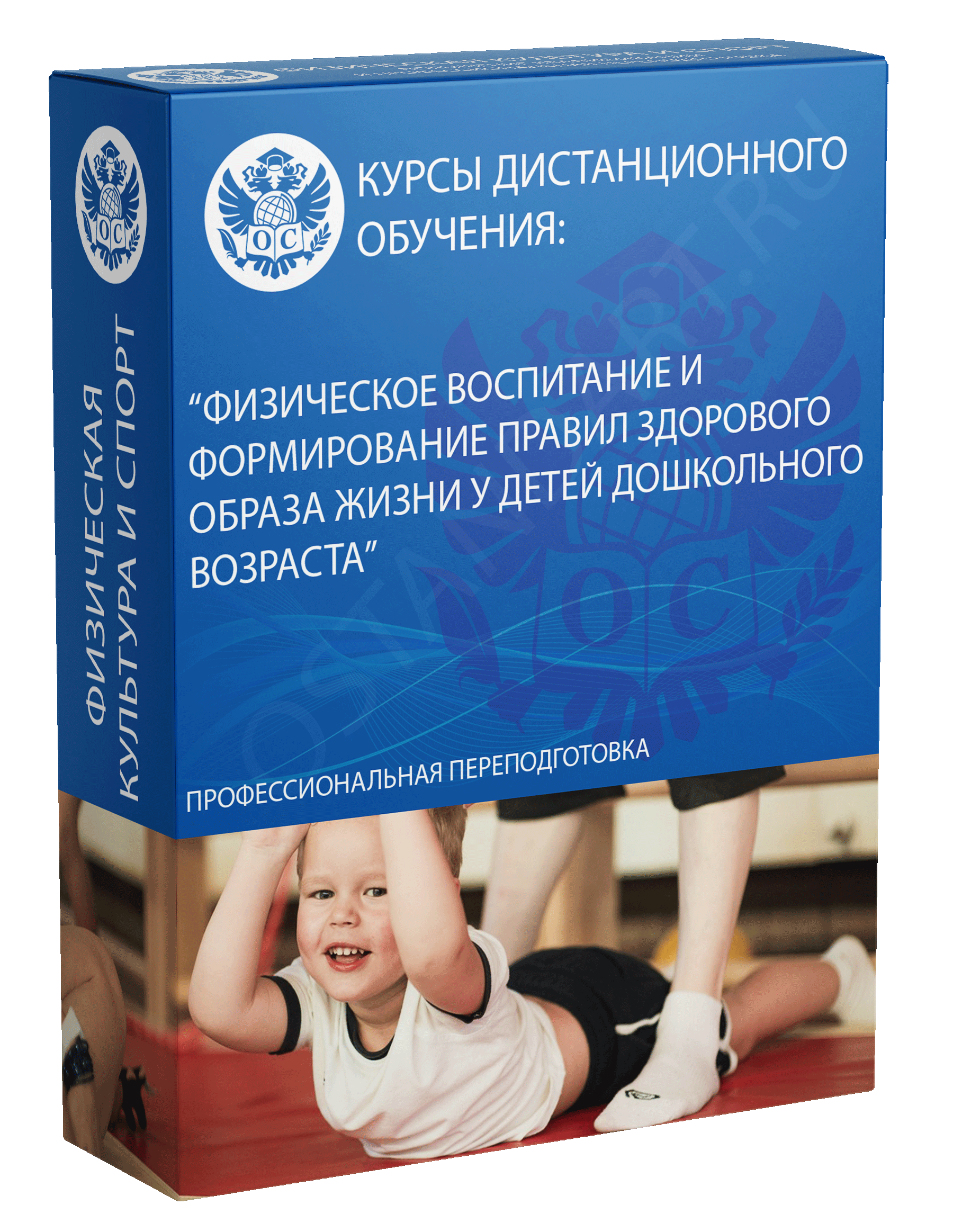 Физическое воспитание и формирование правил здорового образа жизни у детей дошкольного возраста курс обучения