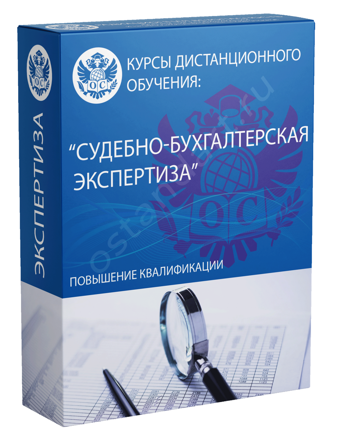 Бухгалтерский судебный. Судебно-бухгалтерская экспертиза. Бухгалтерская экспертиза. Судебно-бухгалтерская экспертиза картинки. Бухгалтерская экспертиза картинки.