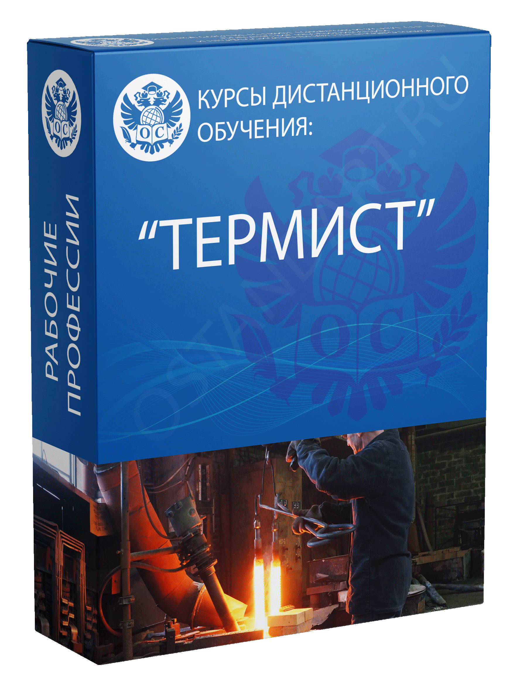 Инструкция термист