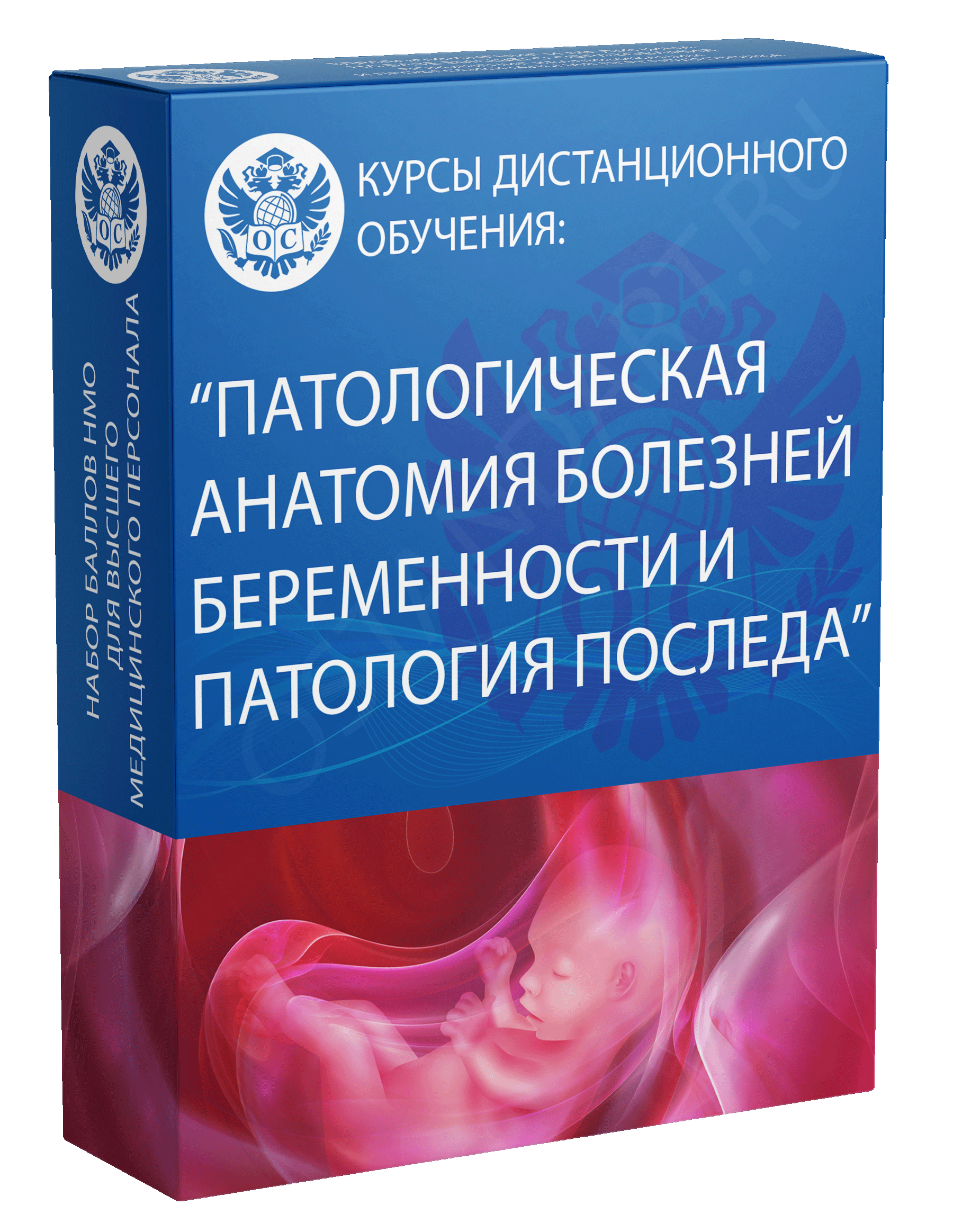 Патологическая анатомия болезней беременности и патология последа курс обучения