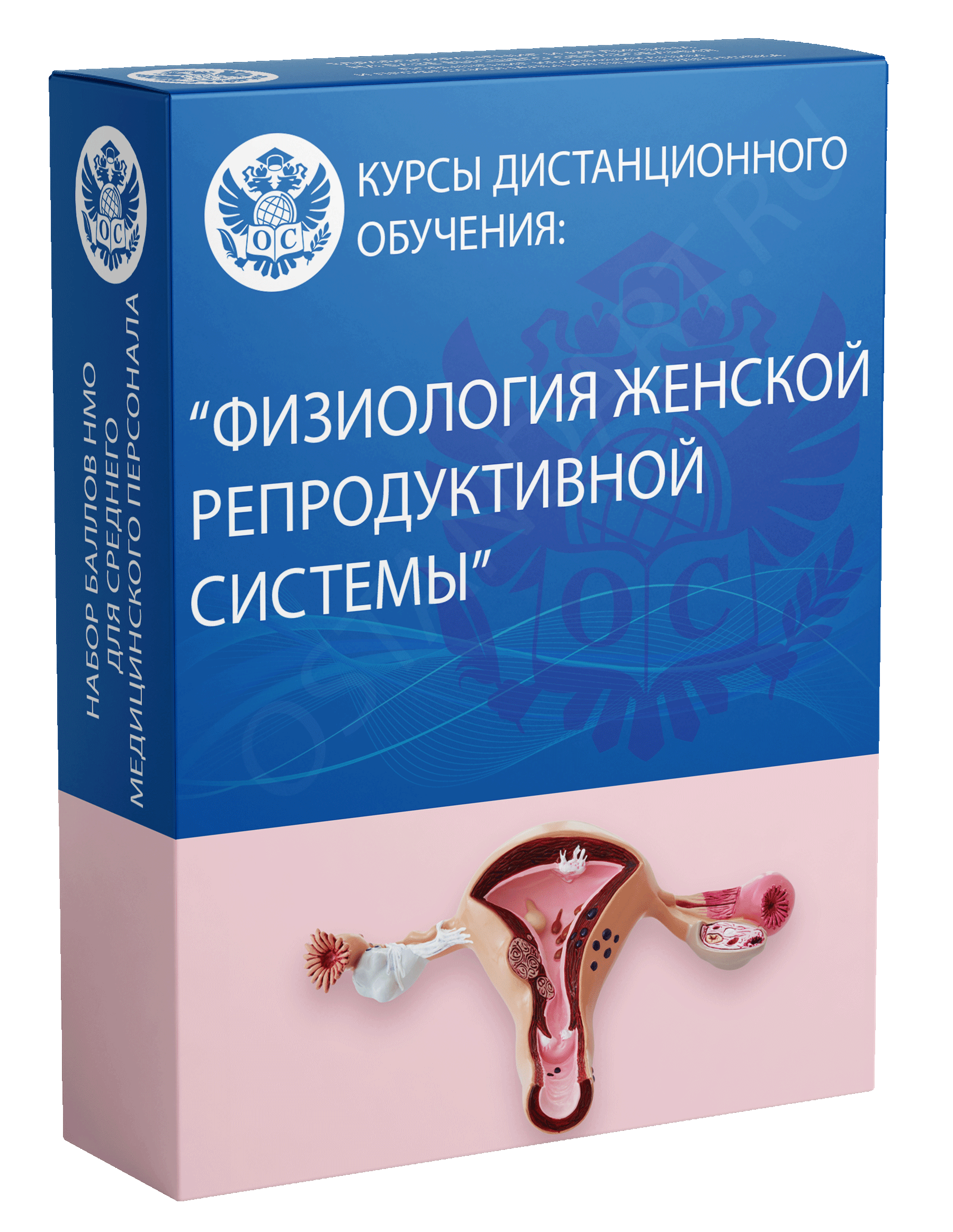 Физиология женской репродуктивной системы курс обучения